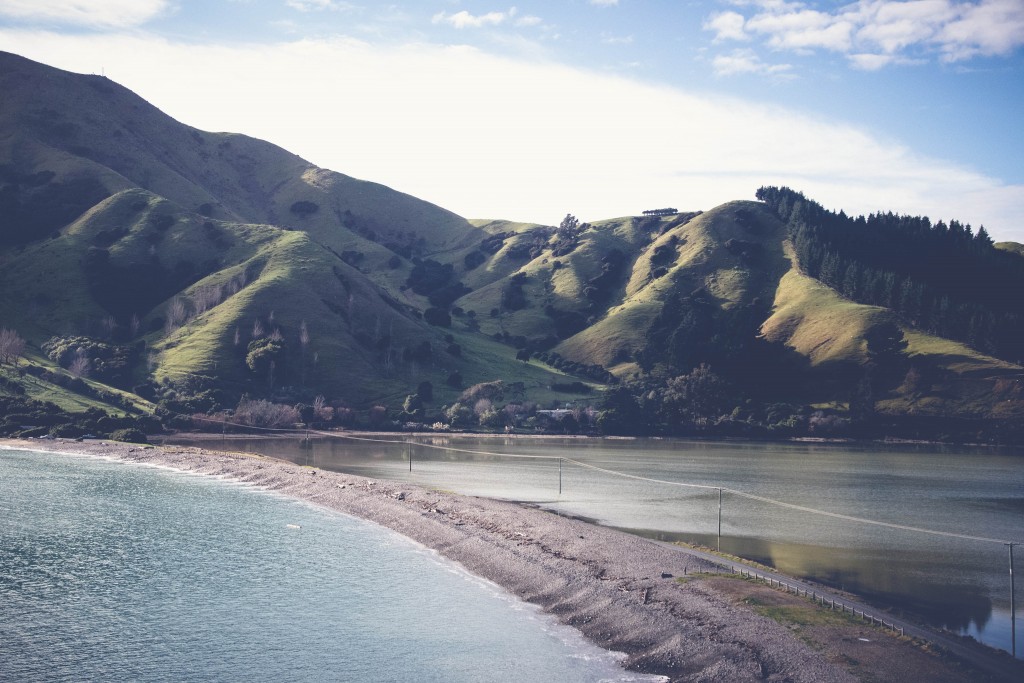 Cable Bay Adventure New Zealand4