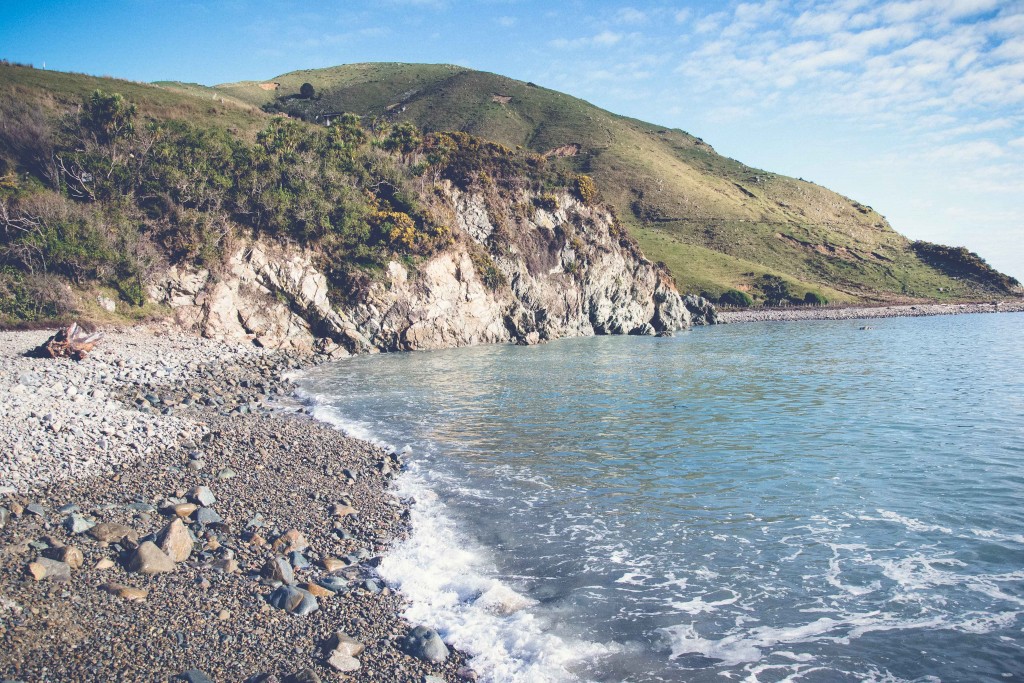 Cable Bay Adventure New Zealand19