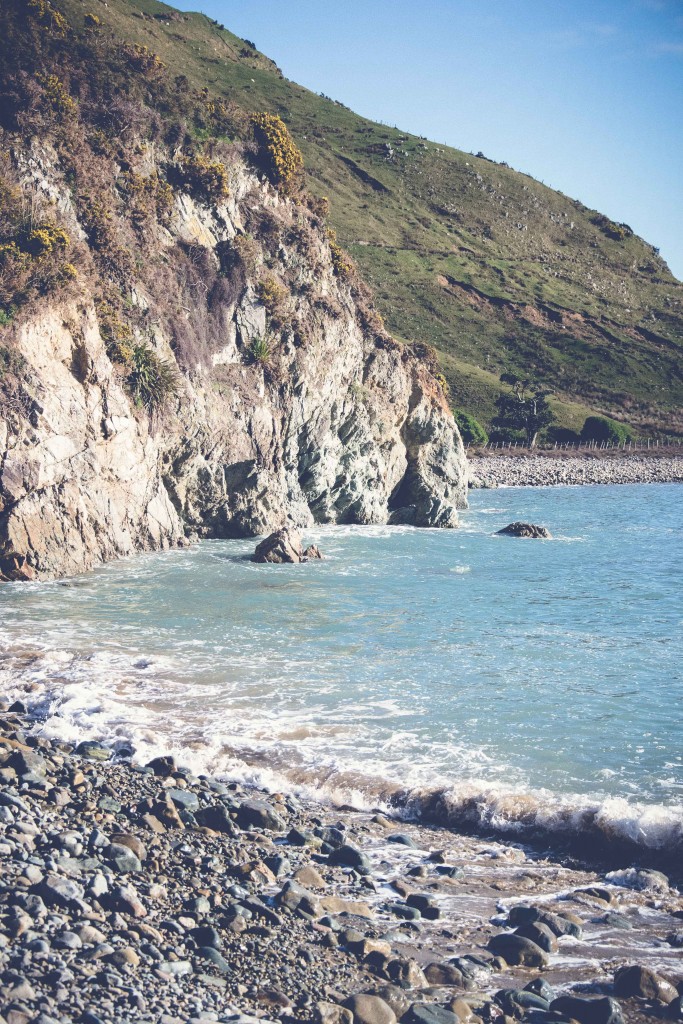 Cable Bay Adventure New Zealand17