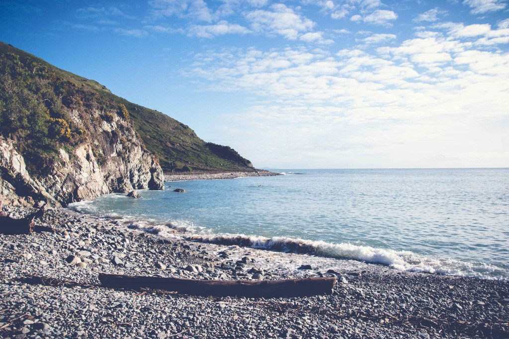 Cable Bay Adventure New Zealand16