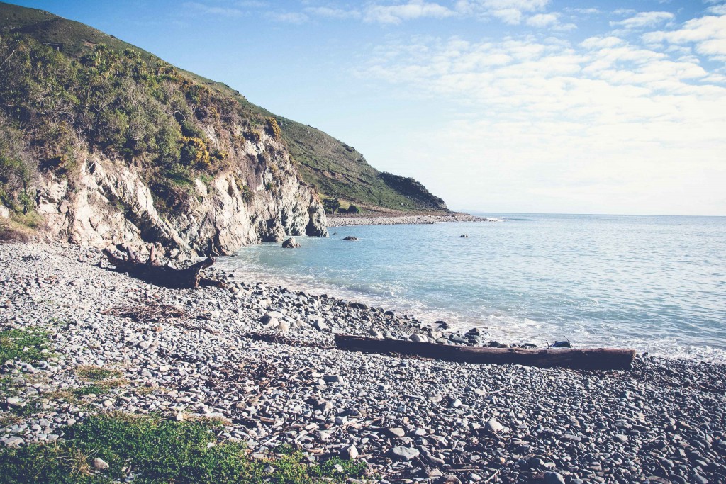 Cable Bay Adventure New Zealand1