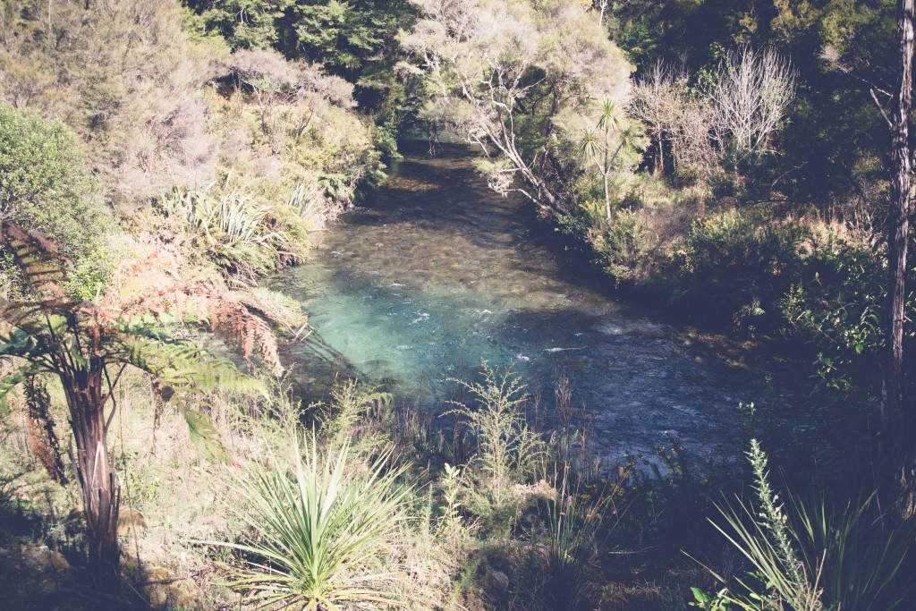 Collingwood, Pupu Springs-113