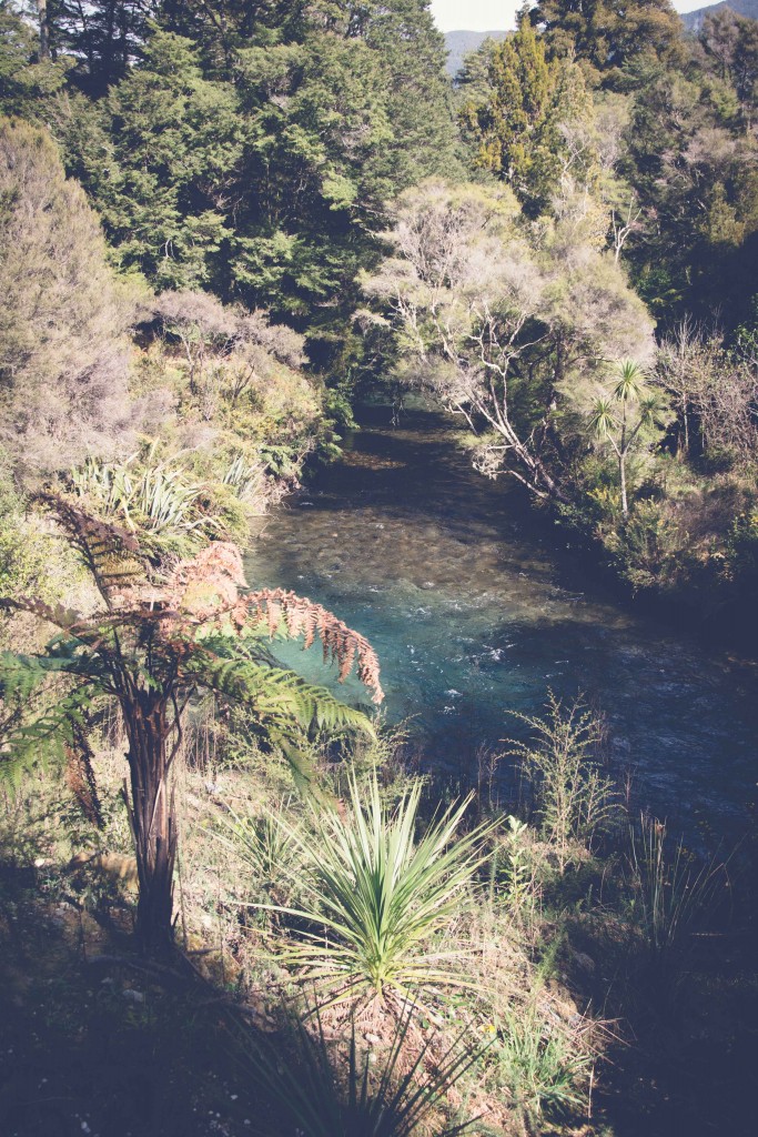 Collingwood, Pupu Springs-116