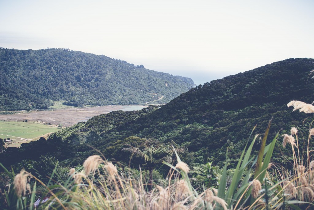 Wainui Falls Adventure-129