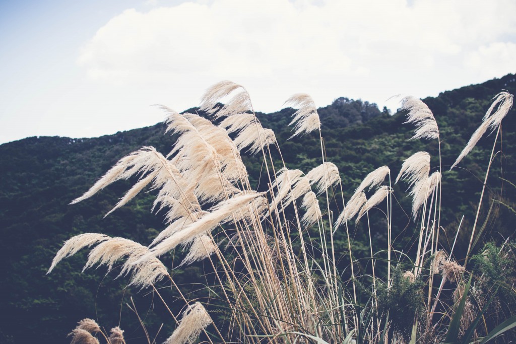 Wainui Falls Adventure-133