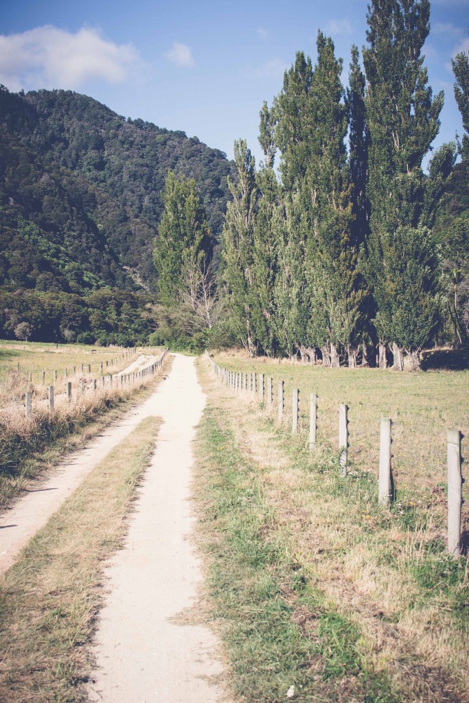 Wainui Falls Adventure-2