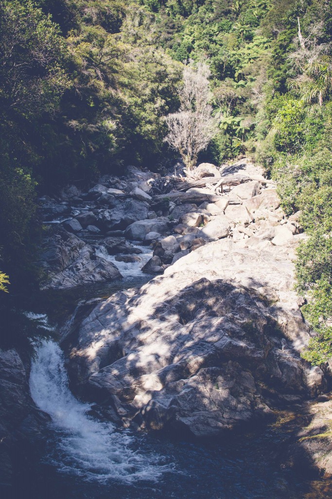 Wainui Falls Adventure-35