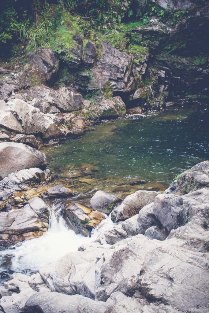 Wainui Falls Adventure-37