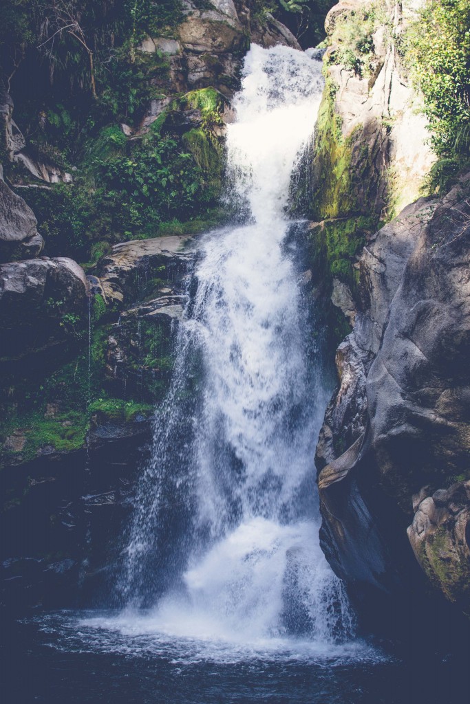 Wainui Falls Adventure-40