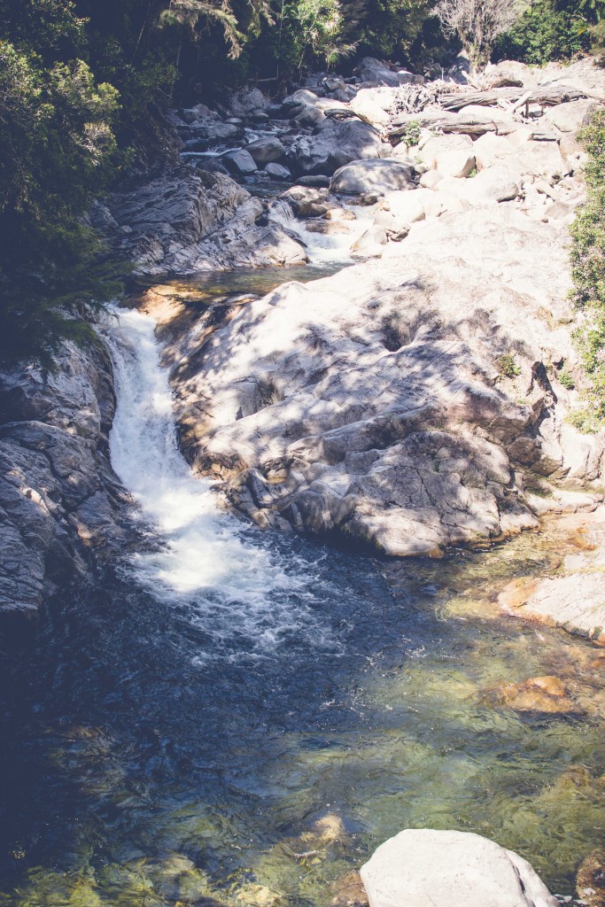 Wainui Falls Adventure-86