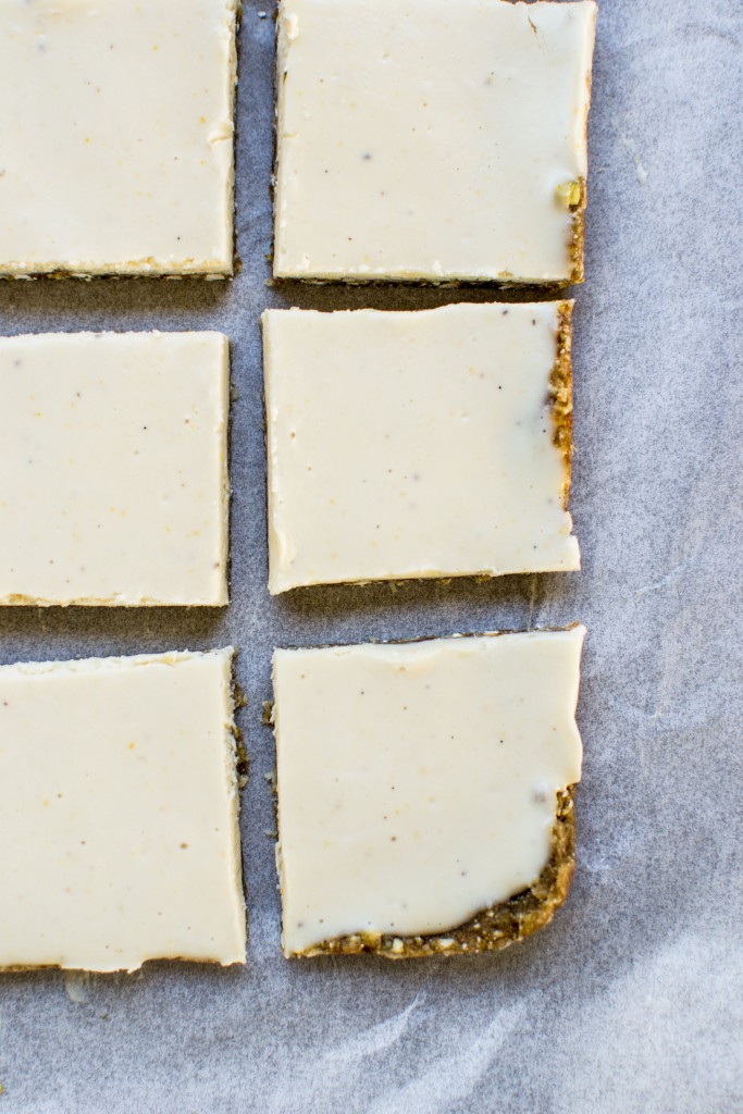 Raw Lemon Squares-24