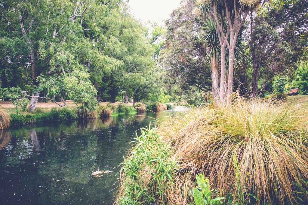 Christchurch Adventure (23 of 45)