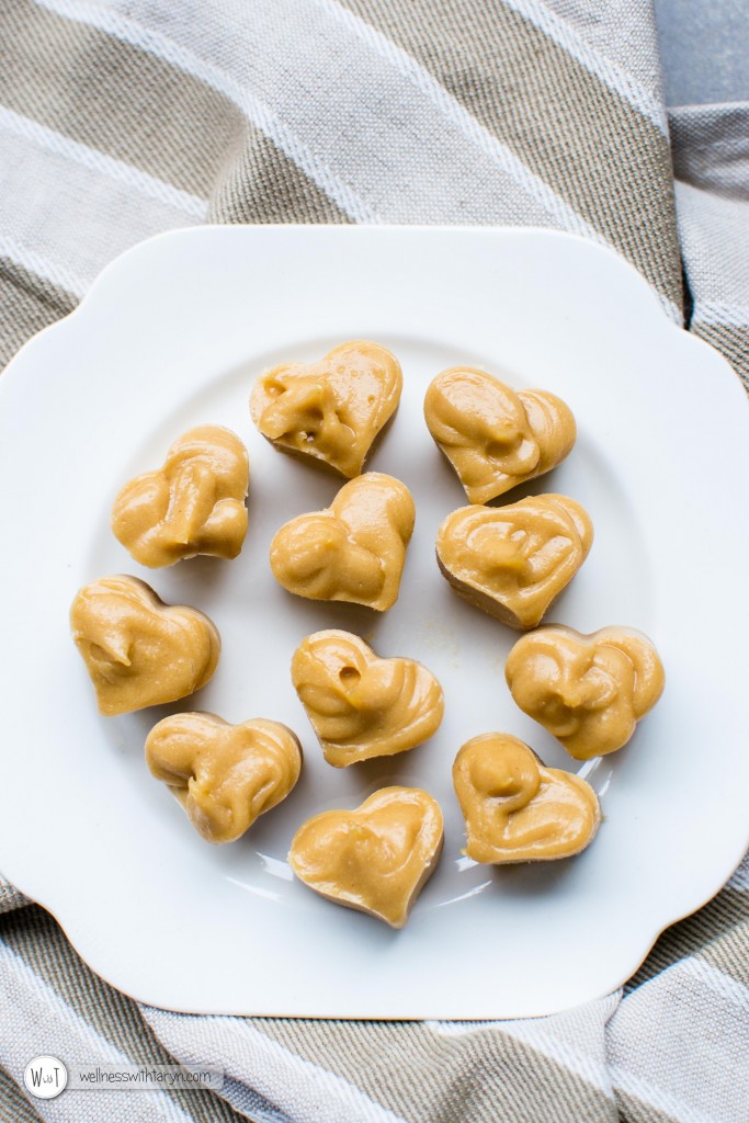 Salted Peanutbutter Cashew Fudge (15 of 36)