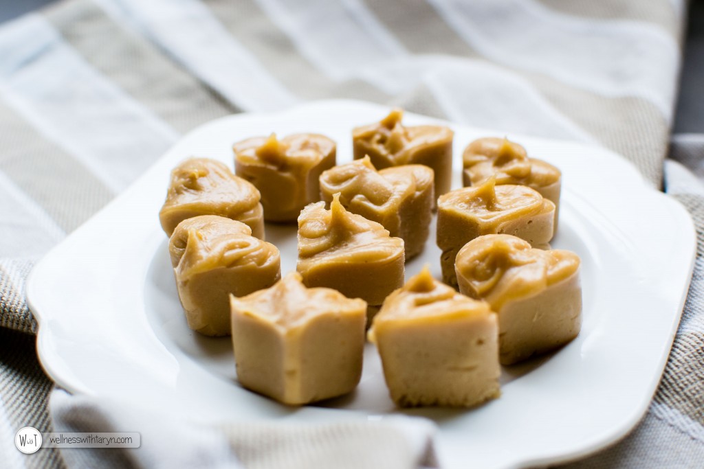 Salted Peanutbutter Cashew Fudge (18 of 36)