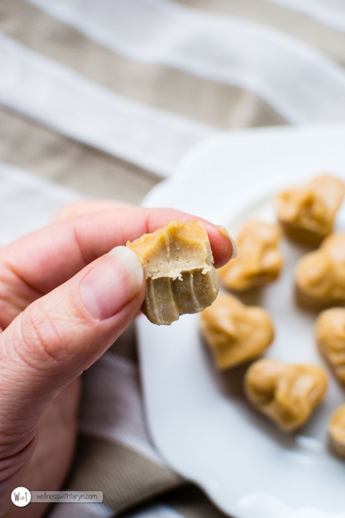 Salted Peanutbutter Cashew Fudge (20 of 36)