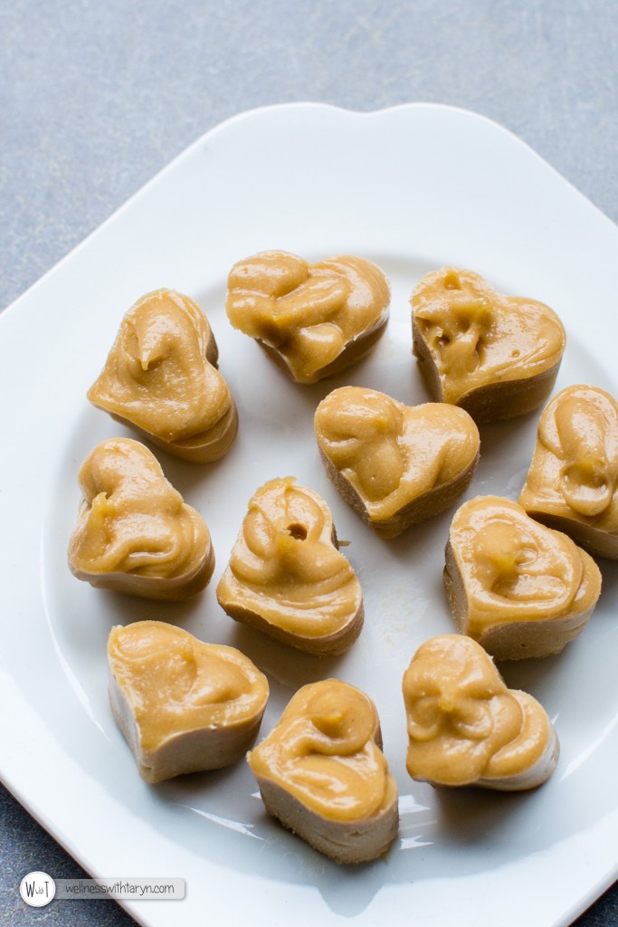 Salted Peanutbutter Cashew Fudge (31 of 36)