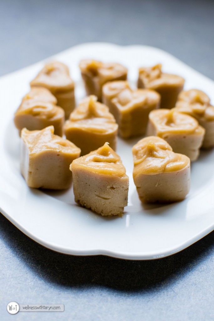 Salted Peanutbutter Cashew Fudge (34 of 36)