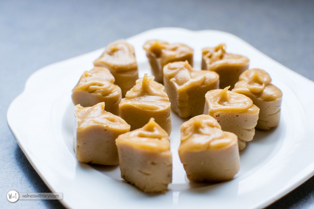 Salted Peanutbutter Cashew Fudge (36 of 36)